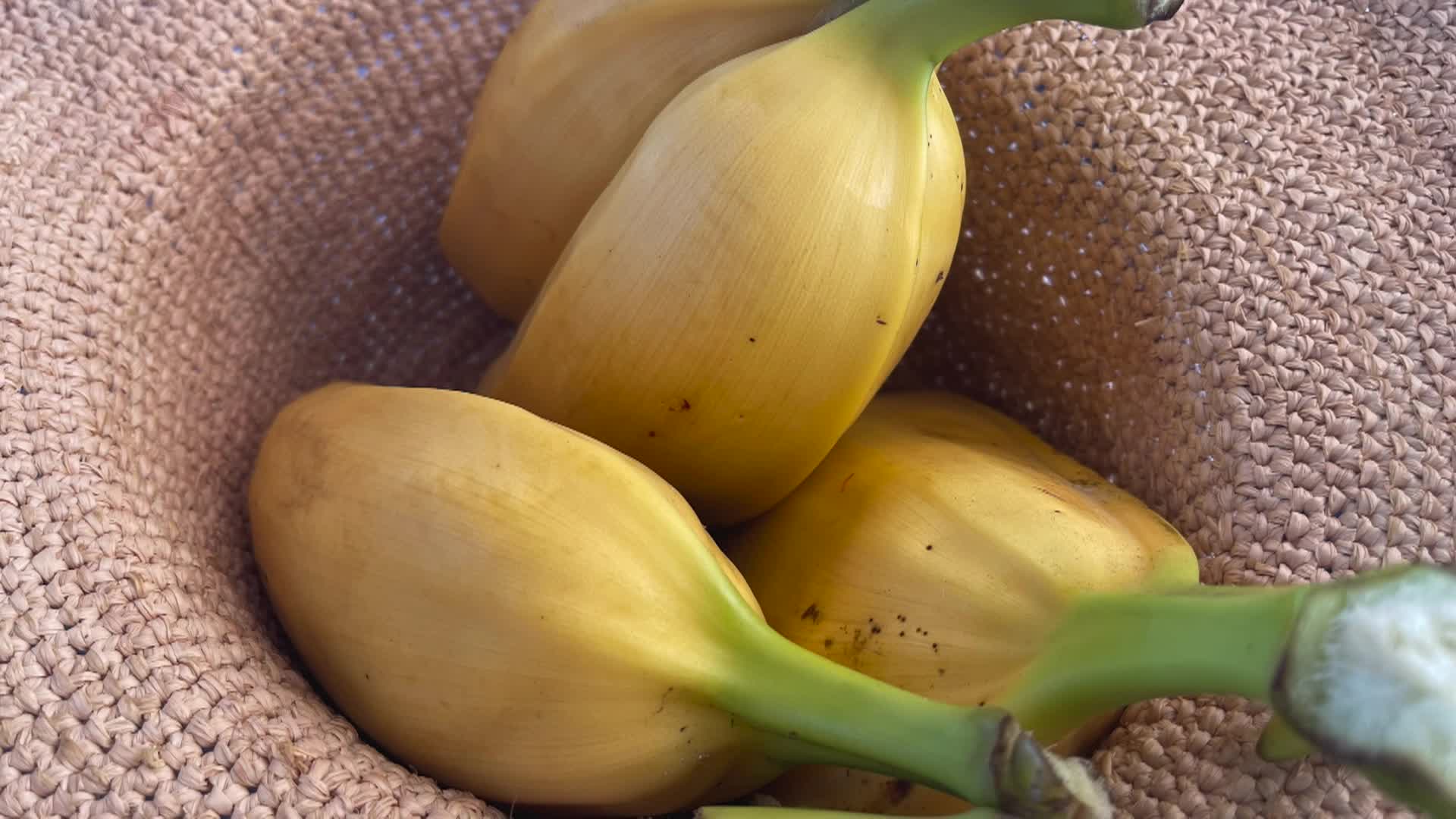 Cooking and Kids with Vlada Vladic - Sailing Fiji, Coconut Dessert