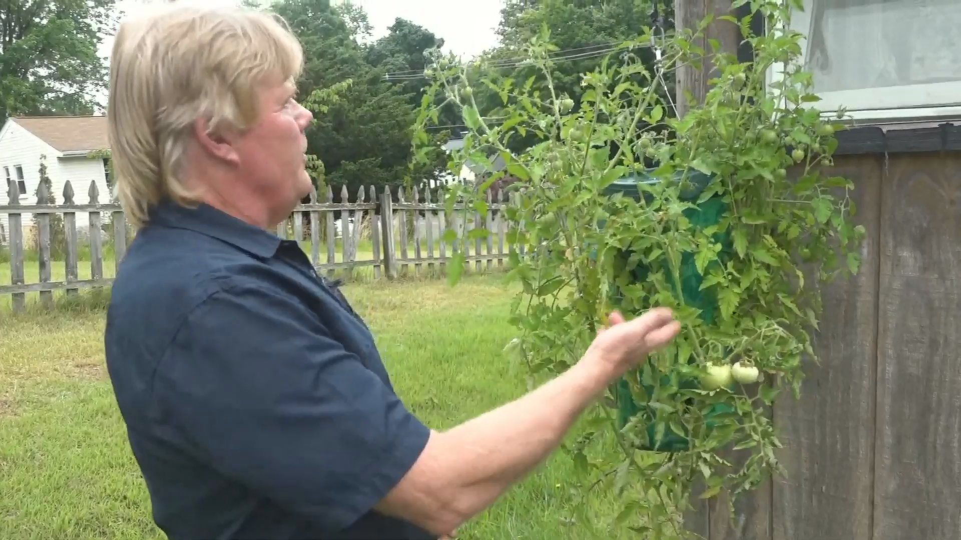 Get Healthy with Holly: New Ideas for your Harvest
