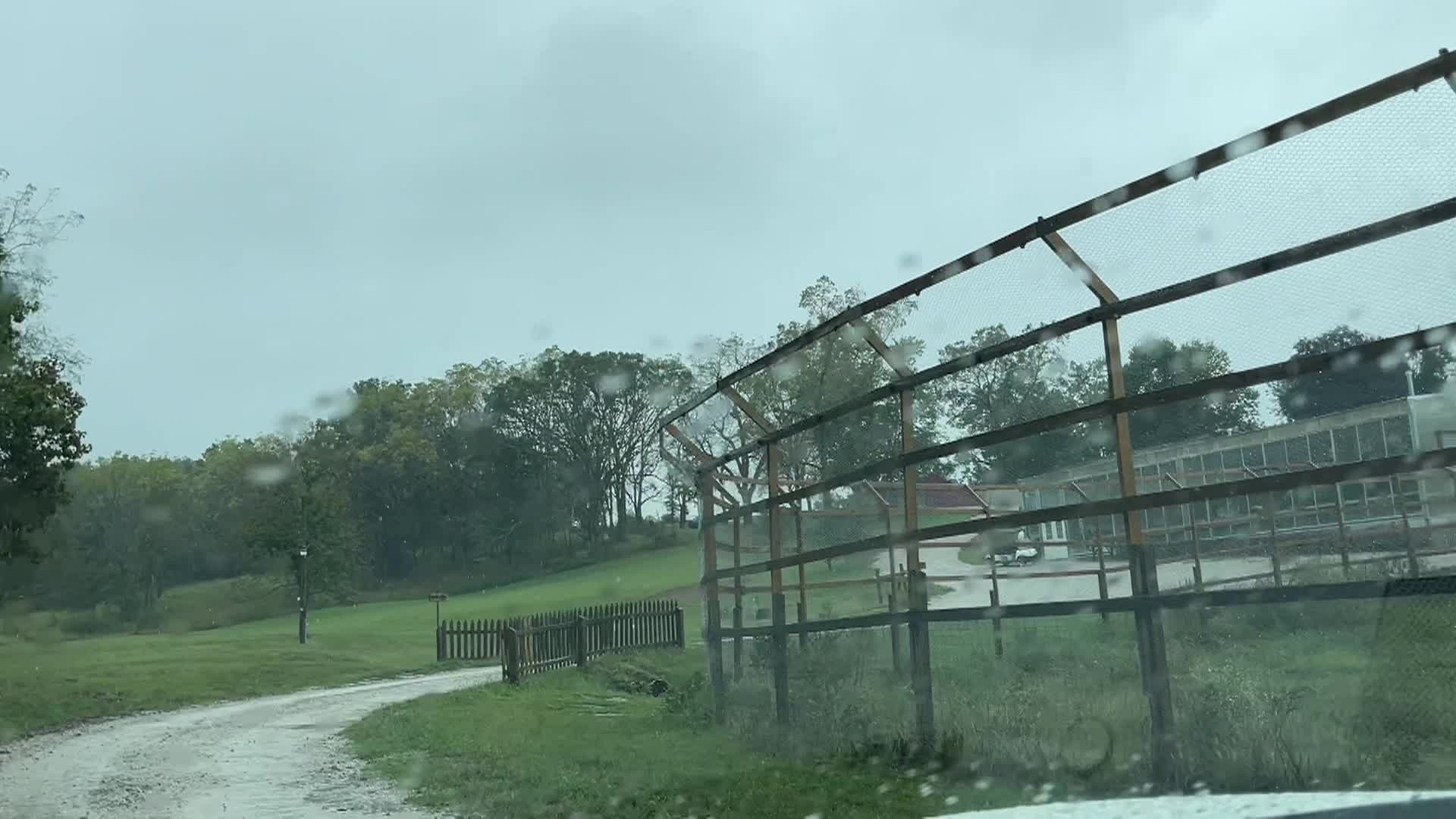COOKING WITH VLADA: RARE SEEDS, SWEET BEET SALAD