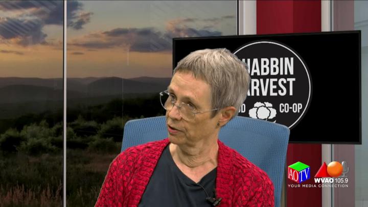 Thumbnail image for Shining Lights with Guest Cathy Stanton from Quabbin Harvest