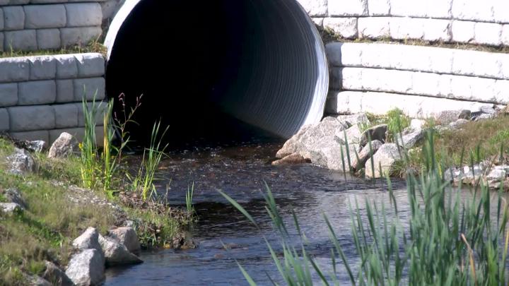 Thumbnail image for Mill Brook Crossing Ribbon Cutting September 16, 2026